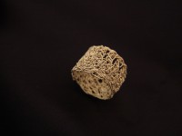 /album/ilaria-casti-gioielli/dsc04897-jpg/
